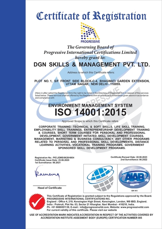 DGN SKILLS & MANAGEMENT PVT. LTD. 14001_page-0001